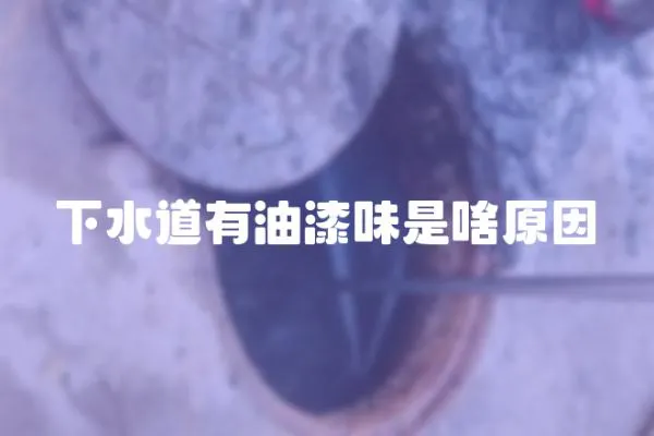 下水道有油漆味是啥原因
