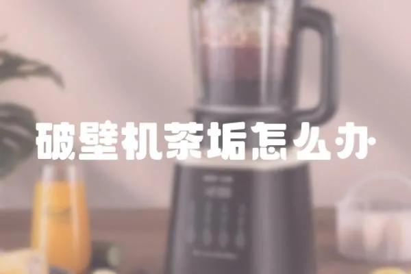 破壁機茶垢怎么辦
