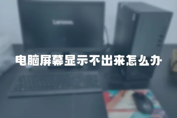電腦屏幕顯示不出來怎么辦