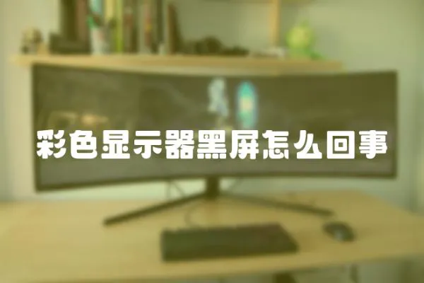 彩色顯示器黑屏怎么回事