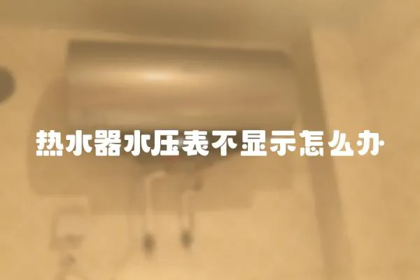 熱水器水壓表不顯示怎么辦