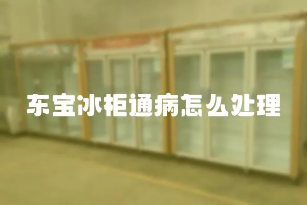 東寶冰柜通病怎么處理