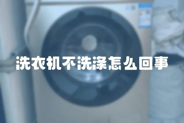 洗衣機不洗滌怎么回事