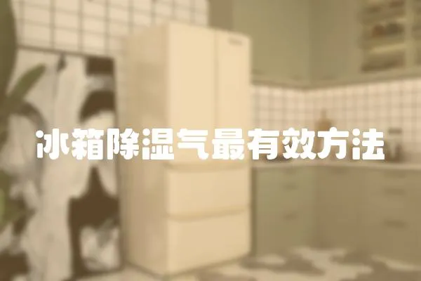 冰箱除濕氣最有效方法