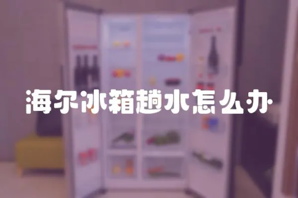 海爾冰箱趟水怎么辦