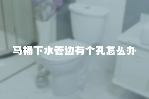 馬桶下水管邊有個孔怎么辦