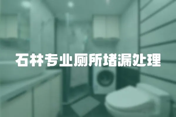 石林專業(yè)廁所堵漏處理