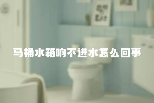 馬桶水箱響不進水怎么回事