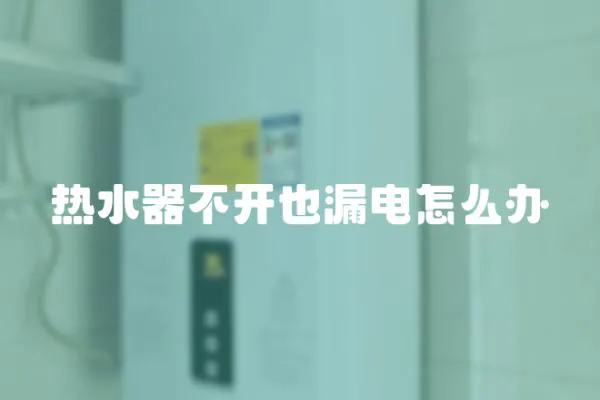 熱水器不開也漏電怎么辦