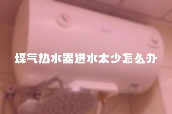煤氣熱水器進水太少怎么辦