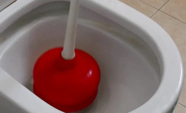 坐的馬桶水堵了怎么辦