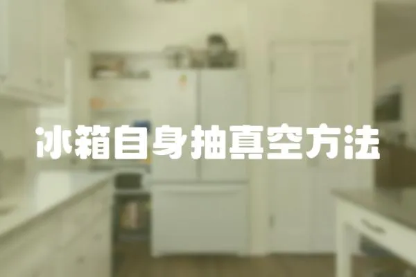 冰箱自身抽真空方法