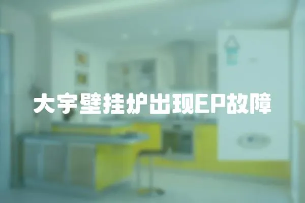 大宇壁掛爐出現(xiàn)EP故障