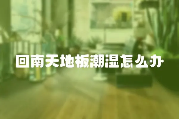 回南天地板潮濕怎么辦