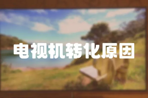電視機(jī)轉(zhuǎn)化原因