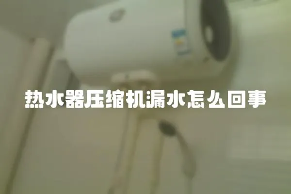 熱水器壓縮機漏水怎么回事