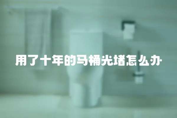 用了十年的馬桶光堵怎么辦