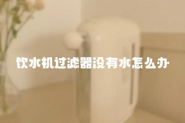 饮水机过滤器没有水怎么办