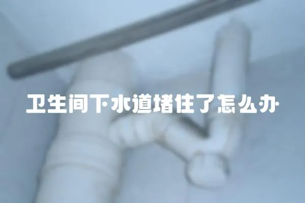 衛(wèi)生間下水道堵住了怎么辦