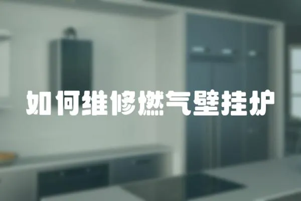 如何維修燃?xì)獗趻鞝t