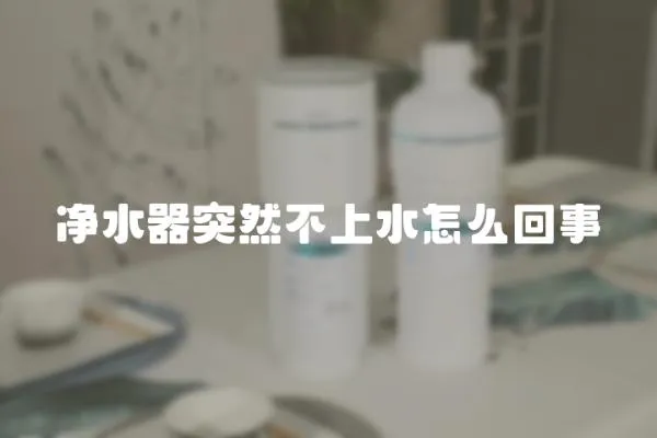 净水器突然不上水怎么回事