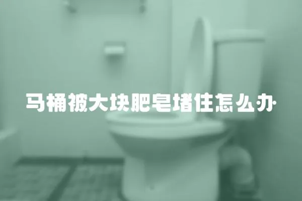 馬桶被大塊肥皂堵住怎么辦
