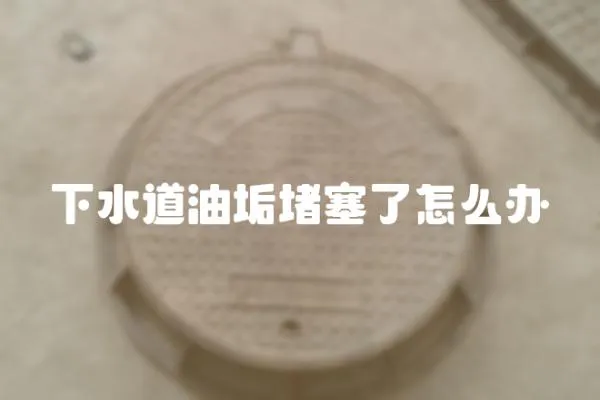 下水道油垢堵塞了怎么辦