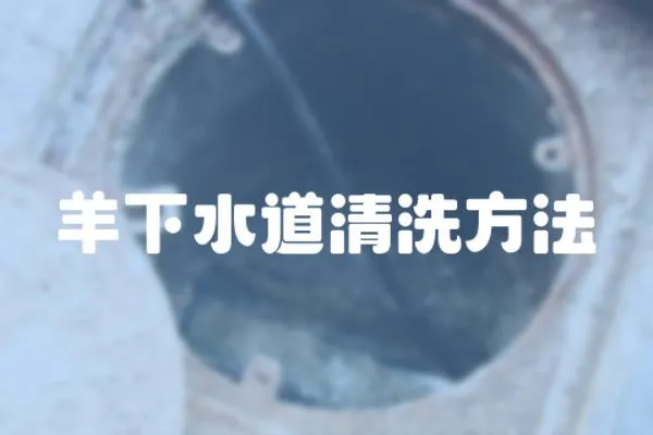 羊下水道清洗方法