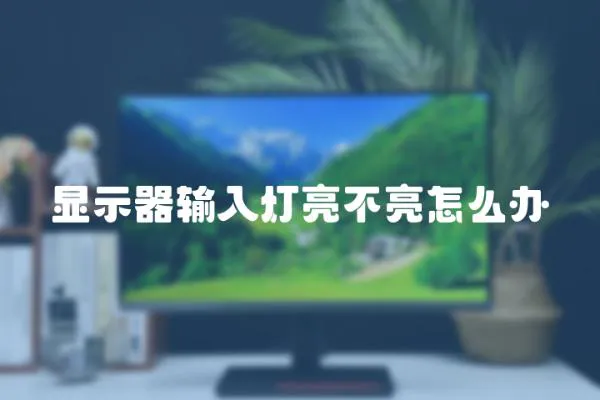 顯示器輸入燈亮不亮怎么辦