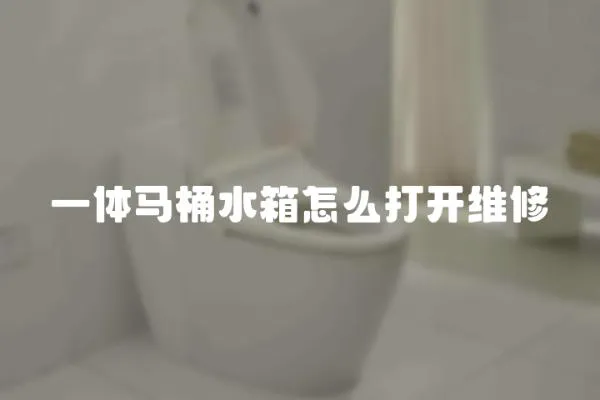 一體馬桶水箱怎么打開維修