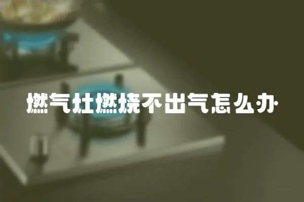 燃?xì)庠钊紵怀鰵庠趺崔k