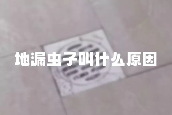 地漏蟲子叫什么原因