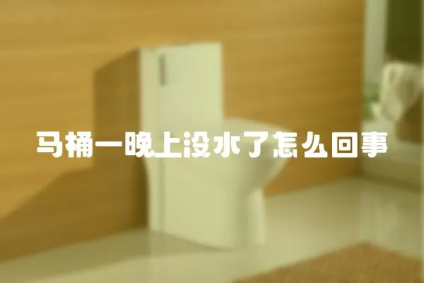 馬桶一晚上沒水了怎么回事