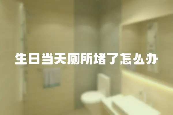 生日當天廁所堵了怎么辦