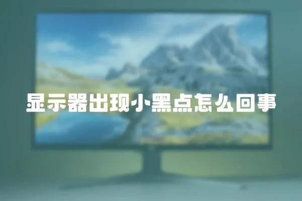 顯示器出現小黑點怎么回事