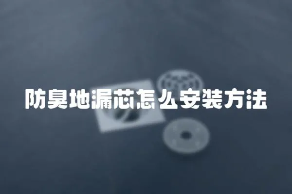 防臭地漏芯怎么安裝方法