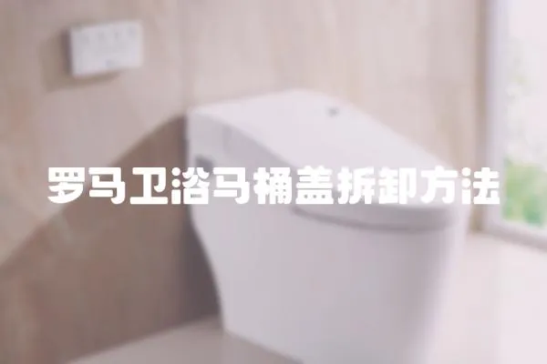 羅馬衛浴馬桶蓋拆卸方法