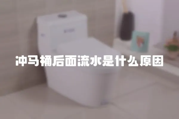 沖馬桶后面流水是什么原因