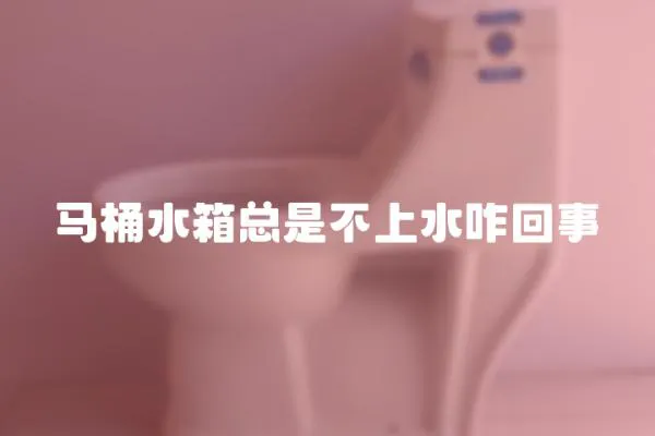 馬桶水箱總是不上水咋回事