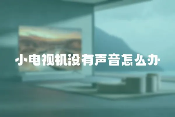 小電視機沒有聲音怎么辦
