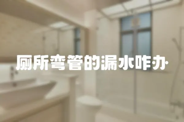 廁所彎管的漏水咋辦