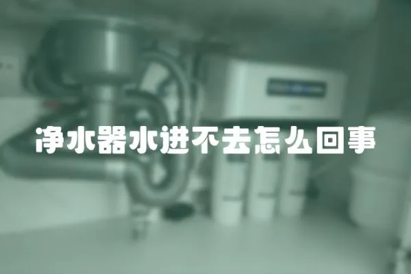凈水器水進不去怎么回事