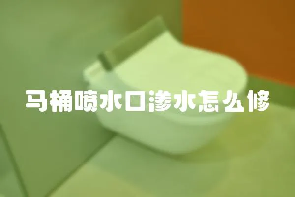馬桶噴水口滲水怎么修