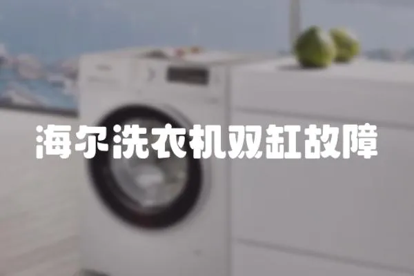 海爾洗衣機雙缸故障