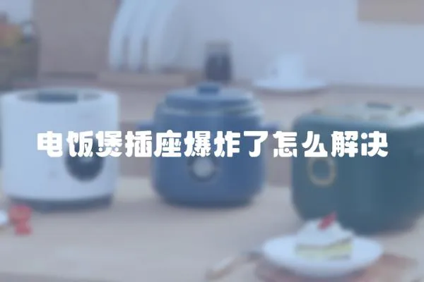 電飯煲插座爆炸了怎么解決