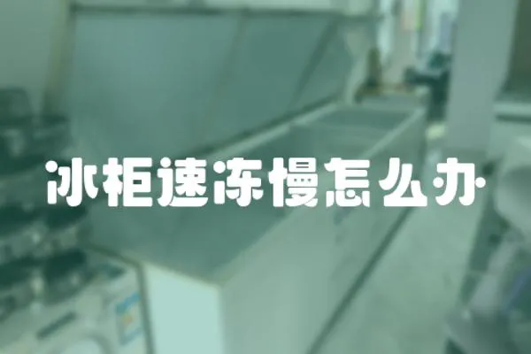 冰柜速凍慢怎么辦