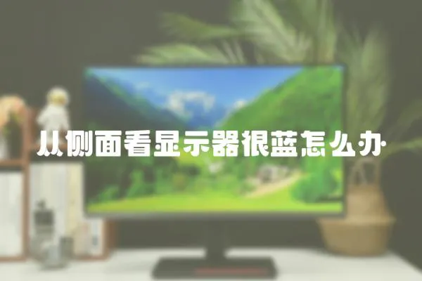 從側(cè)面看顯示器很藍(lán)怎么辦