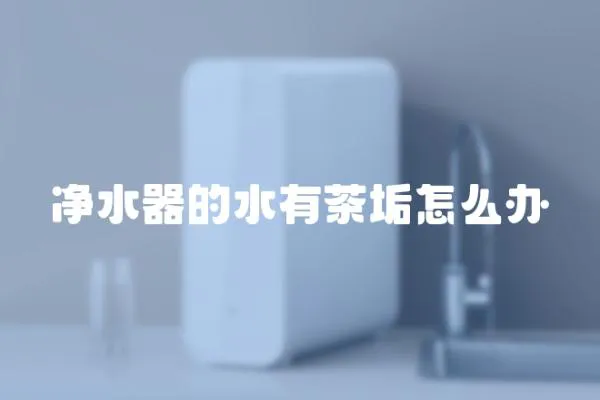 凈水器的水有茶垢怎么辦