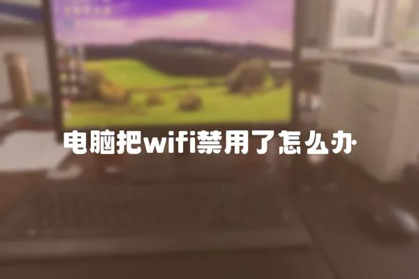 電腦把wifi禁用了怎么辦