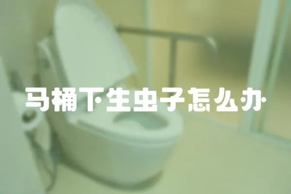 馬桶下生蟲子怎么辦